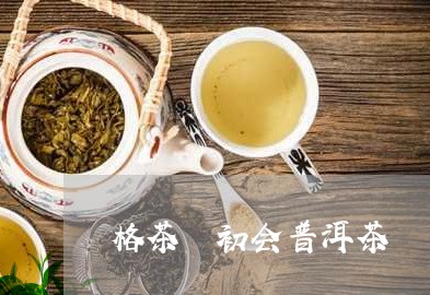 格茶 初会普洱茶/2023031796371